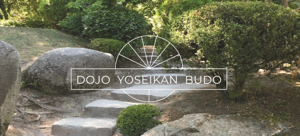 Dojo yoseikan budo club de sport - 8ème arrondissement de Lyon